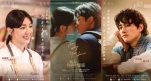 The Way You Shine posters